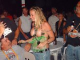 Click to view big image Flasher3137.jpg